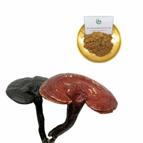 Органический растительный порошок Порошок экстракта красного гриба рейши